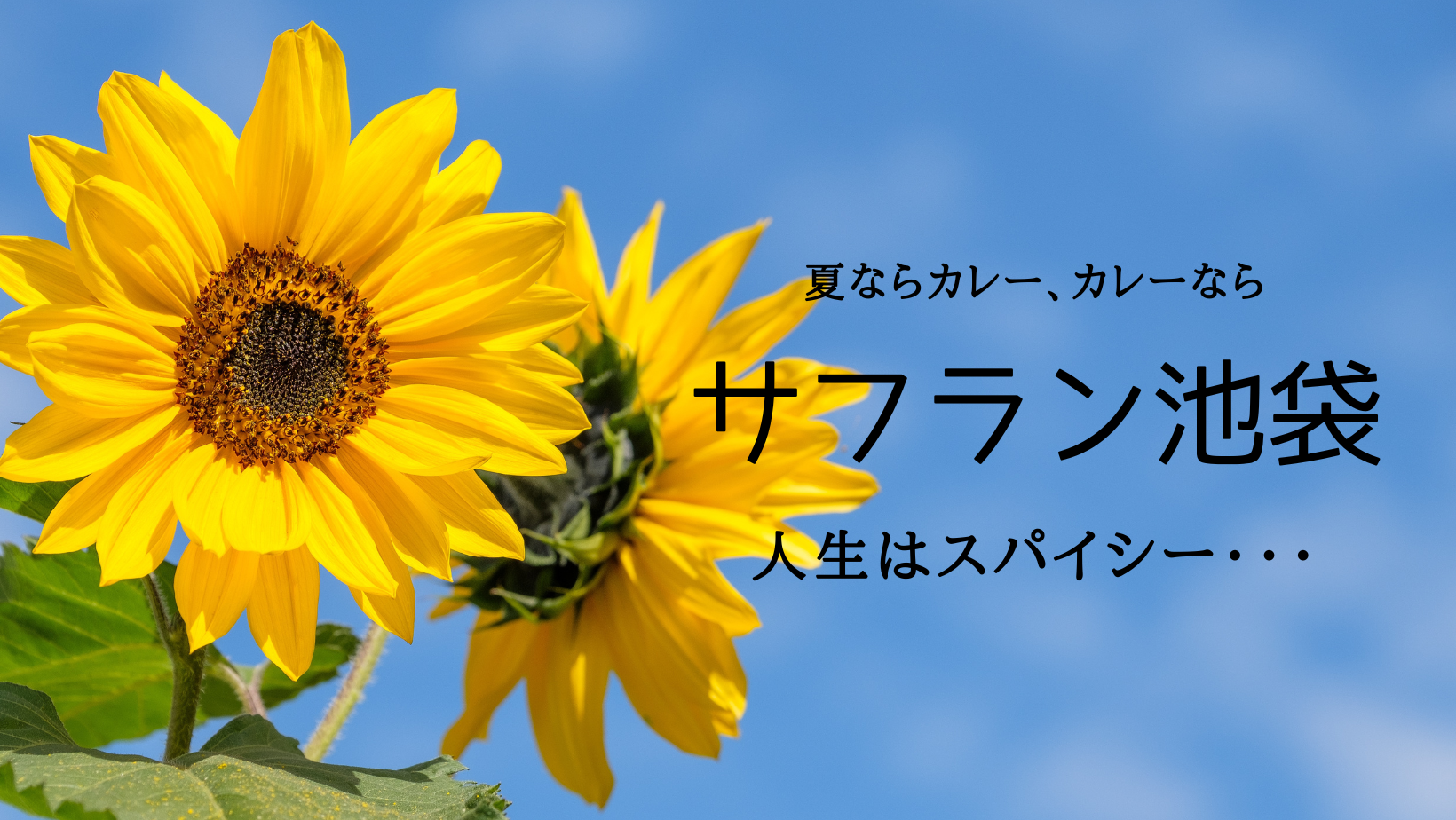 インド料理サフラン池袋